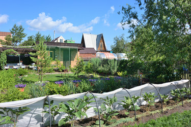 Similar image 21702048