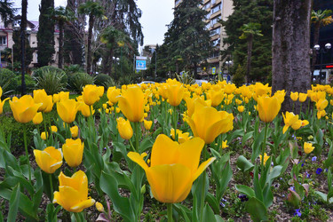 Similar image 21703039