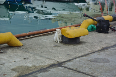 Similar image 21702049