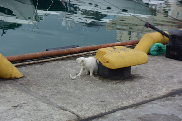 Similar image 21702050