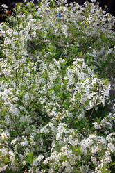 Similar image 21702052