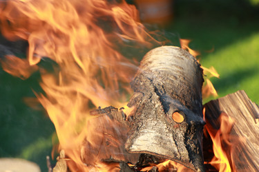 Similar image 21701846