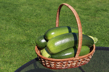 Similar image 21701848