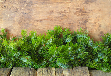 Similar image 21702564