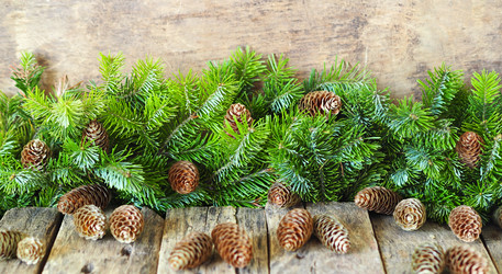 Similar image 21702566