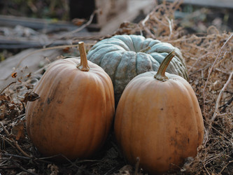 Similar image 21702611