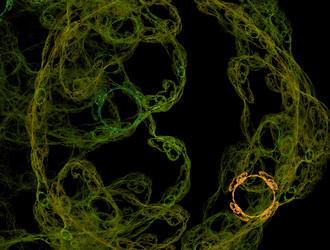 Similar image 21702615