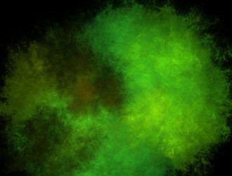 Similar image 21703004