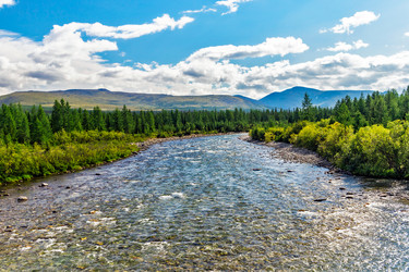 Similar image 21702073