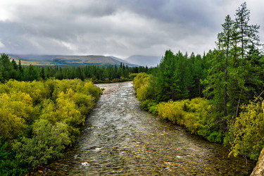 Similar image 21702086