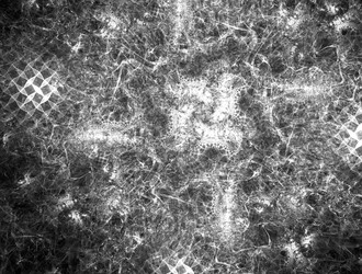 Similar image 21703009