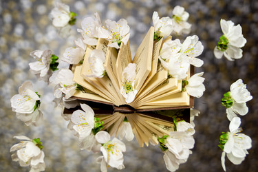 Similar image 21708900