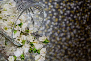 Similar image 21708901