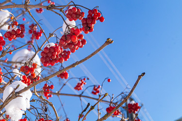 Similar image 21708749