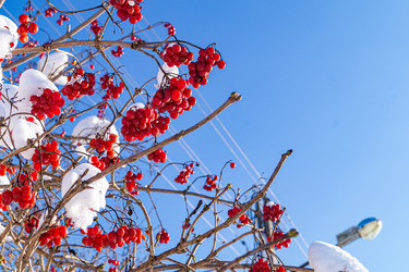 Similar image 21708750