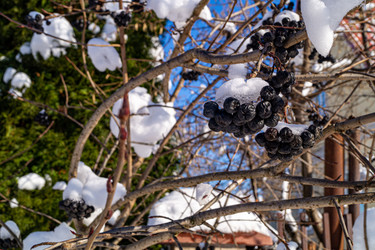 Similar image 21708752