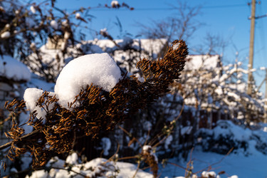 Similar image 21708753