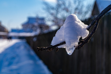 Similar image 21708759