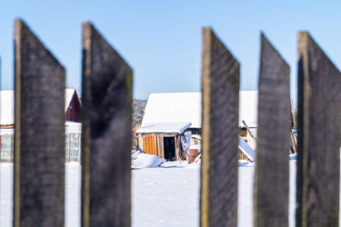 Similar image 21708763