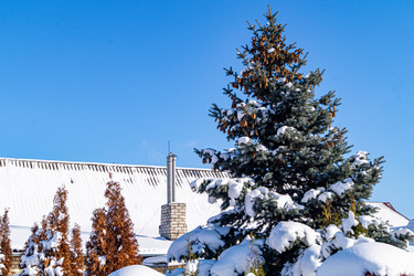 Similar image 21708769