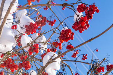 Similar image 21708902