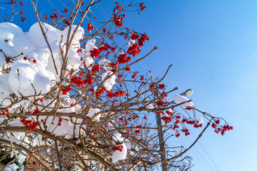 Similar image 21708903