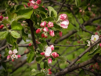 Similar image 21719201