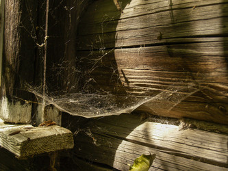 Similar image 21717775