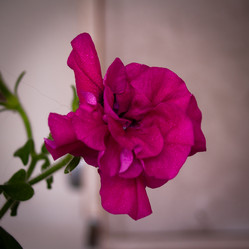 Similar image 21719204