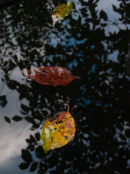 Similar image 21719983