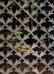 Similar image 21717434