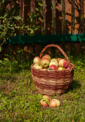 Similar image 21717435