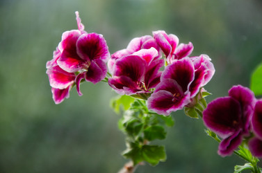 Similar image 21717436