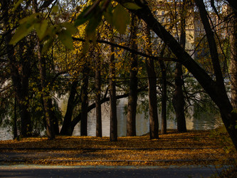 Similar image 21715081