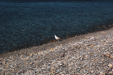 Similar image 21715083