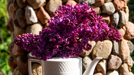 Similar image 21708905