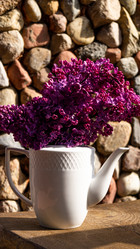 Similar image 21708912