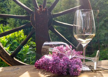 Similar image 21708919