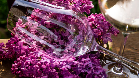 Similar image 21708924