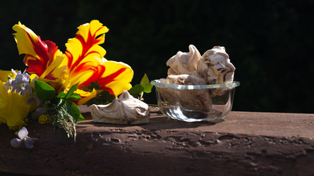 Similar image 21708782