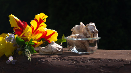 Similar image 21708786