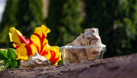 Similar image 21708788