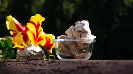 Similar image 21708792