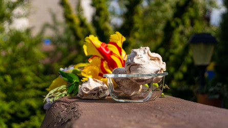 Similar image 21708794