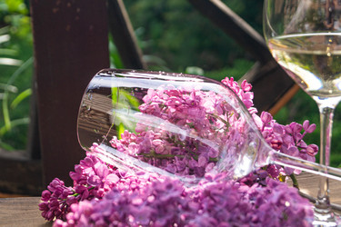 Similar image 21708816