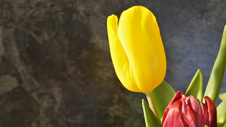 Similar image 21708929