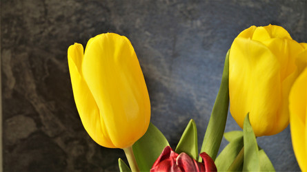 Similar image 21708931