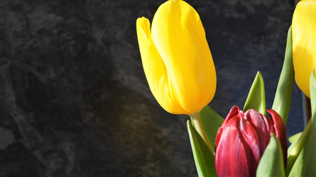 Similar image 21708933