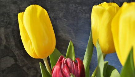 Similar image 21708935