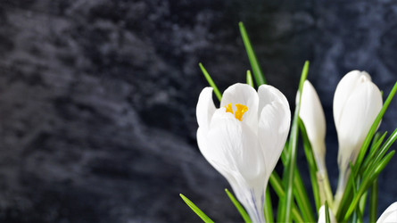 Similar image 21708951